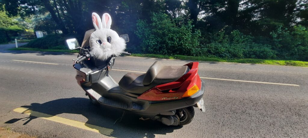 Trip Thru Tipp Bunny on the Bike