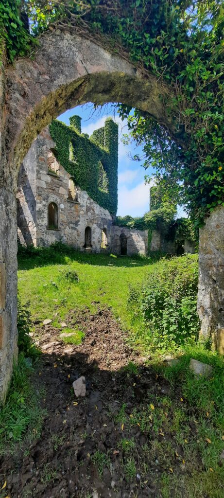 Garden at rear of Clifden Castle